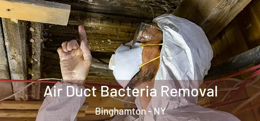  Air Duct Bacteria Removal Binghamton - NY