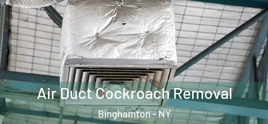 Air Duct Cockroach Removal Binghamton - NY