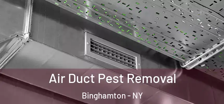 Air Duct Pest Removal Binghamton - NY