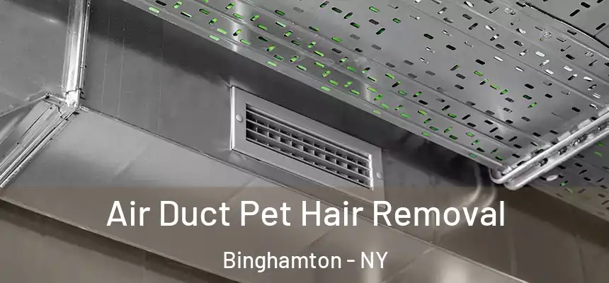  Air Duct Pet Hair Removal Binghamton - NY