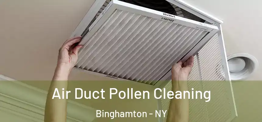 Air Duct Pollen Cleaning Binghamton - NY