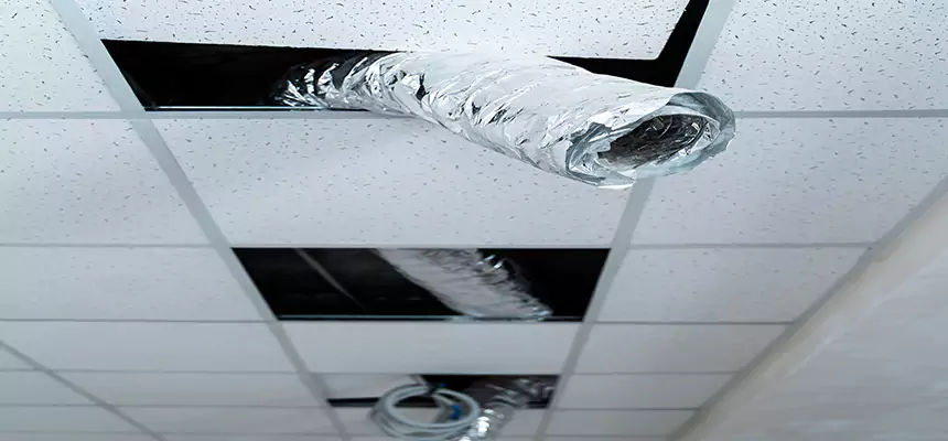 Our Air Duct Pet Hair Removal Services in Binghamton, NY