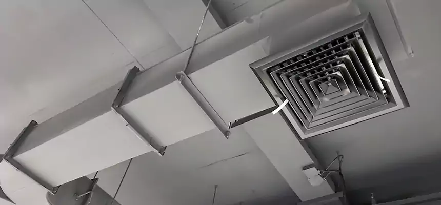 Restorative Allergy Relief Vent Cleaning – Coil, Blower & Housing Detail in Binghamton