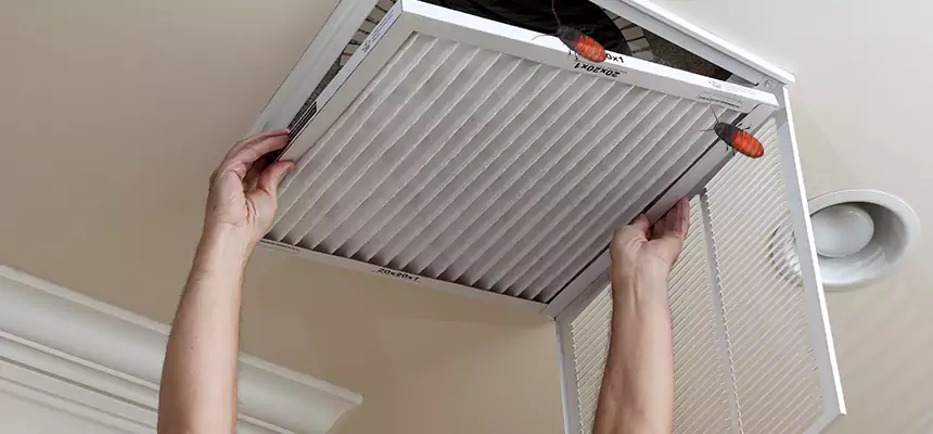 Our Insect Removal from Air Ducts Services in Binghamton, NY