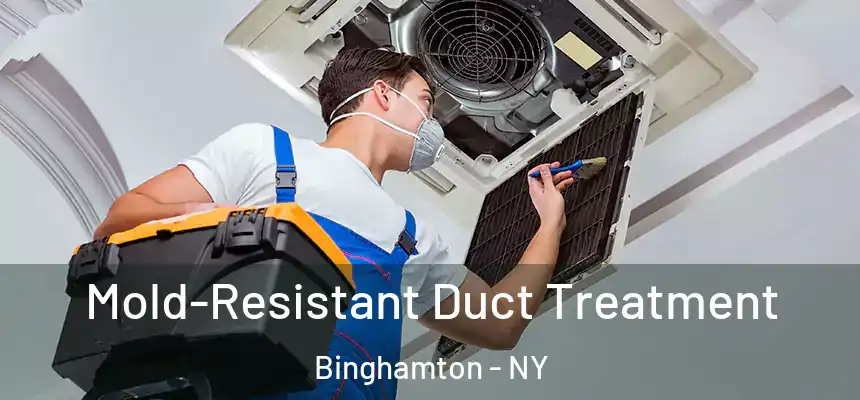 Mold-Resistant Duct Treatment Binghamton - NY