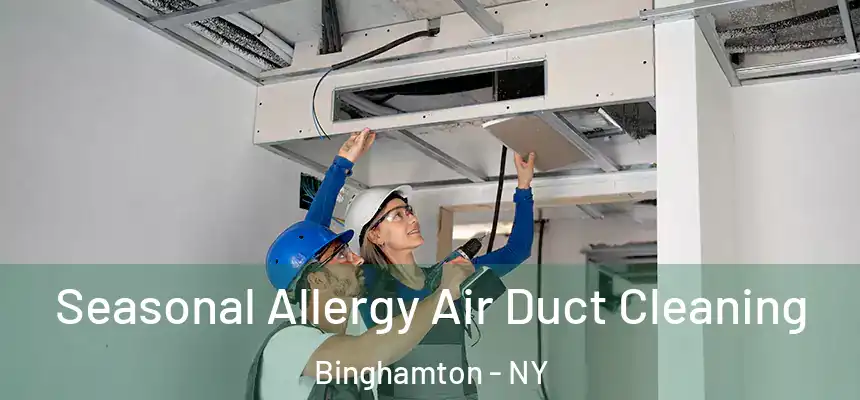 Seasonal Allergy Air Duct Cleaning Binghamton - NY