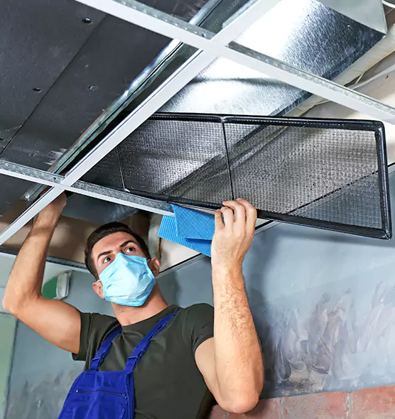 About Air Duct Bacteria Removal in Binghamton