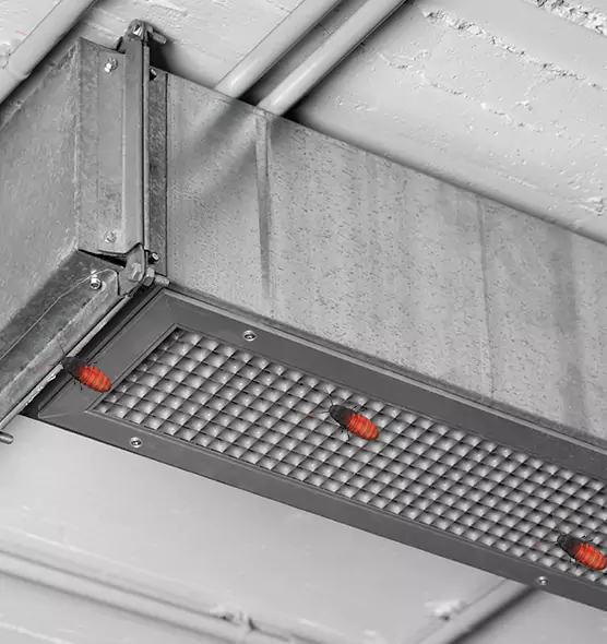 Affordable Insect Removal from Air Ducts in Binghamton, NY