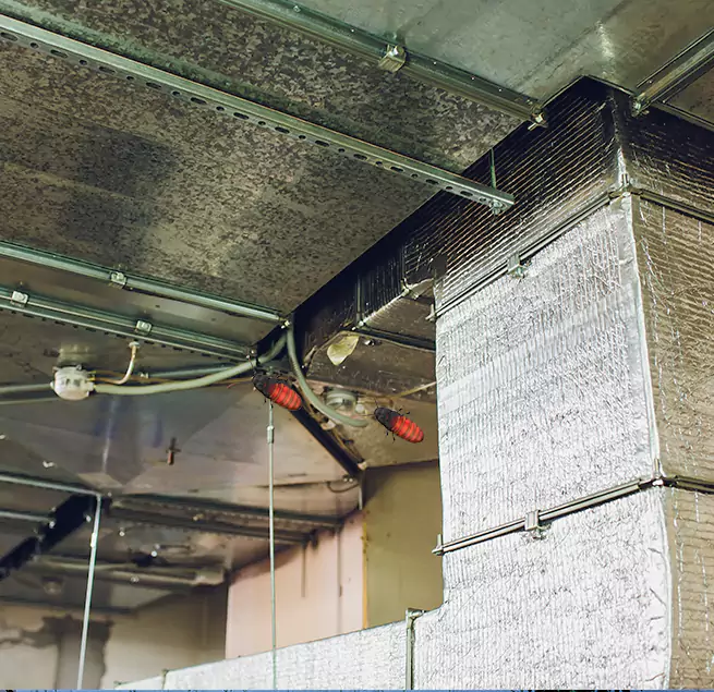 Why Homeowners & Businesses Trust Us Binghamton, NY?