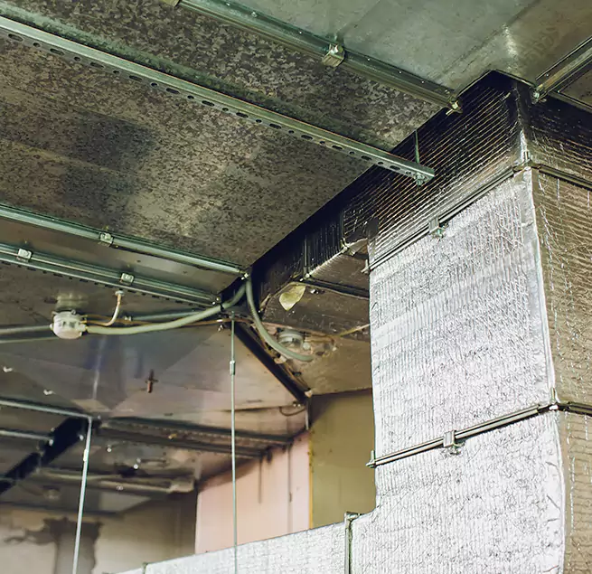 Why Homeowners & Businesses Trust Us in Binghamton, NY?